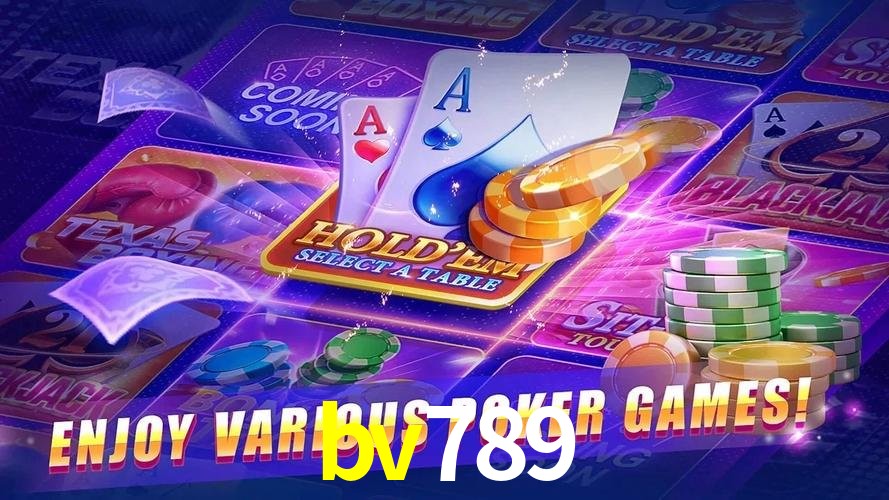 Login Seguro bv789