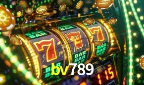 Secure Login bv789